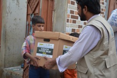 Door-to-door-Food-_-Grocery-Distribution-7