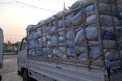 Grocery-Bags-for-distribution