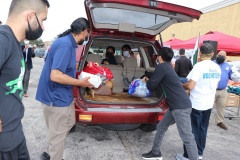 IMG-8654